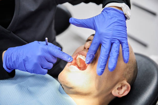 Best Emergency Orthodontic Repairs in Meadow Glade, WA